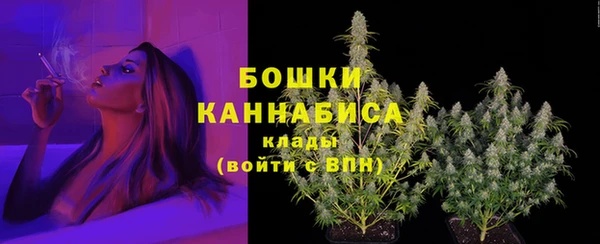 ПСИЛОЦИБИНОВЫЕ ГРИБЫ Приозерск