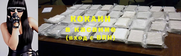 ГАЛЛЮЦИНОГЕННЫЕ ГРИБЫ Абаза
