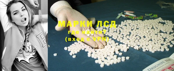 ГАЛЛЮЦИНОГЕННЫЕ ГРИБЫ Абаза
