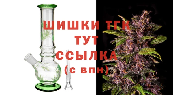 ГАЛЛЮЦИНОГЕННЫЕ ГРИБЫ Абаза