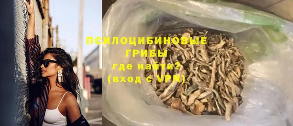 ГАЛЛЮЦИНОГЕННЫЕ ГРИБЫ Абаза